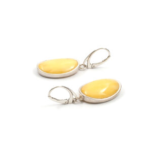 amber-earrings-in-silver-frame-n