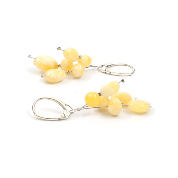 amber-earrings-spring-n amber-earrings-spring-n