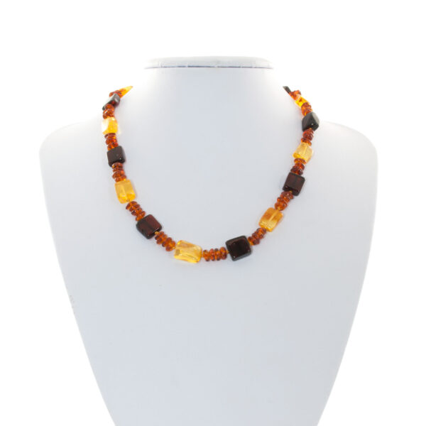 amber-necklace-stones-and-thorn.-wjpg.jpg