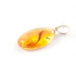 amber-pendant-amber-with-ant