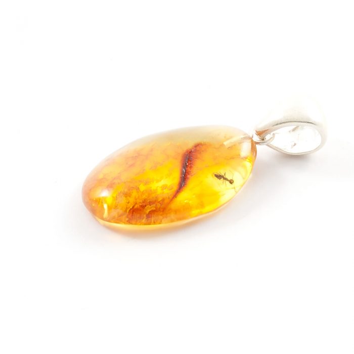 amber-pendant-amber-with-ant amber-pendant-amber-with-ant