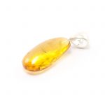 amber-pendant-with-small-inclusion